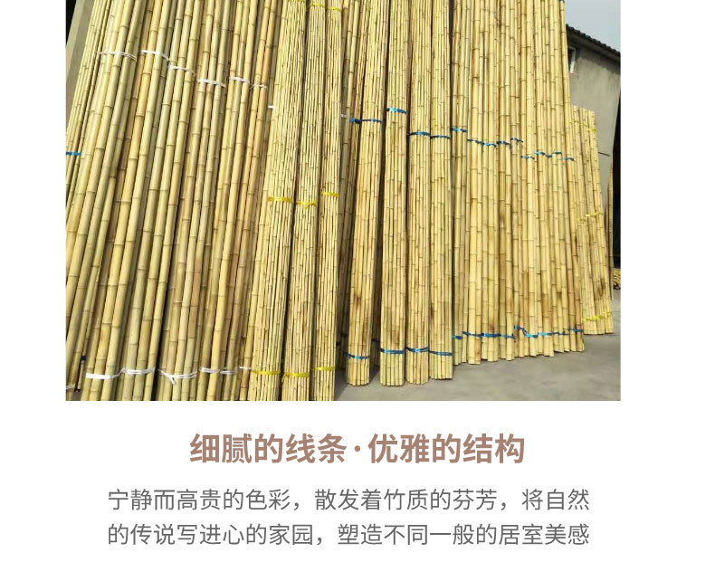 08dd0ff9-b121-4ab7-90c6-83c72e687681.jpe