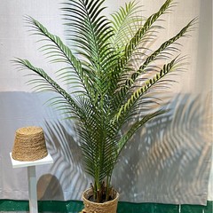 仿真绿植散尾葵高端轻奢假树室内客厅装饰摆件落地盆栽造景仿真植
