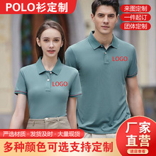 z⿹黨ɣQzһ֦Polo|z棩(ҕl