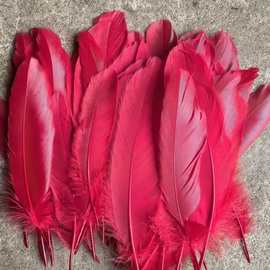 厂家定制10—16厘米羽毛鹅衣毛DIY手工天使翅膀毽球逗猫棒材料