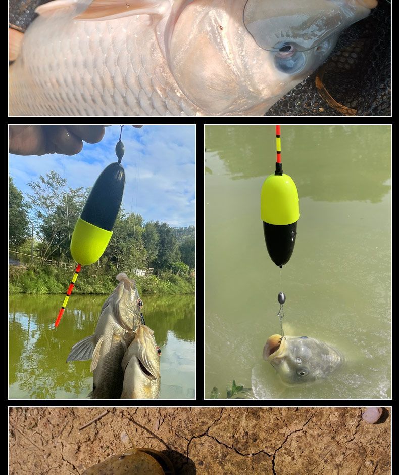 79d6a0e4-d21f-4880-8227-116f5bfae40f.jpe