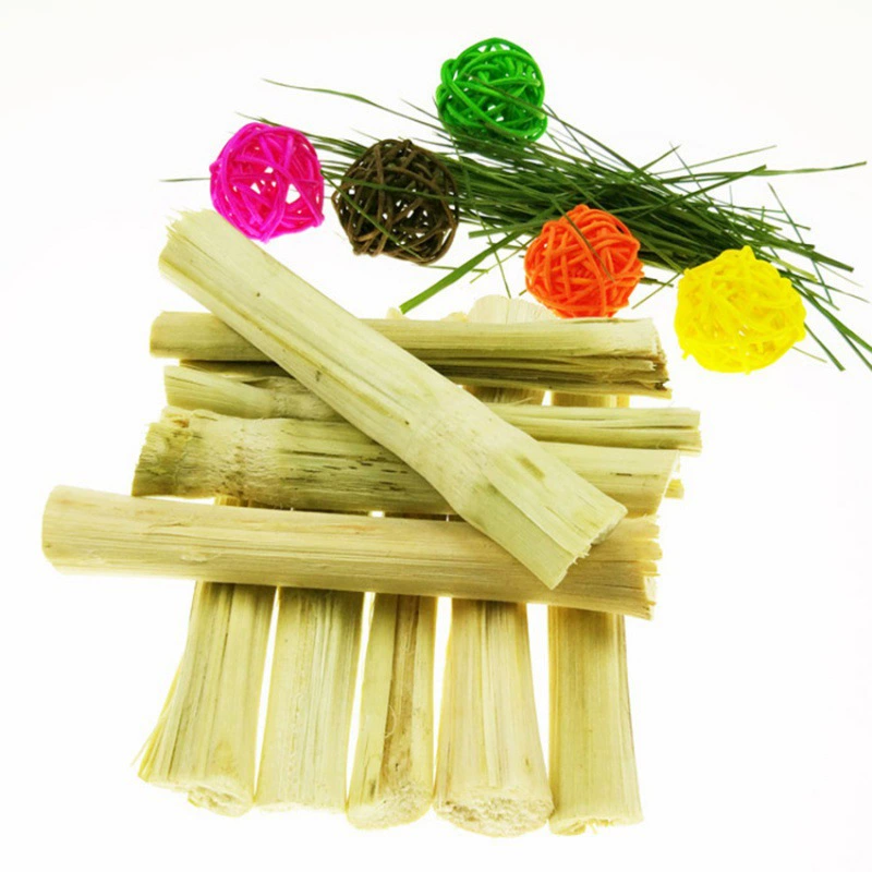 Ветка зубная палка каменная сладкая бамбуковая хомяк кролик белка кусает деревянного шалота голландская свинья золотой шелк для домашних животных