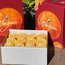 ����S���f���V�����Q�ָ̮������rˮ���Fժ�F�l����5��8��Y���b