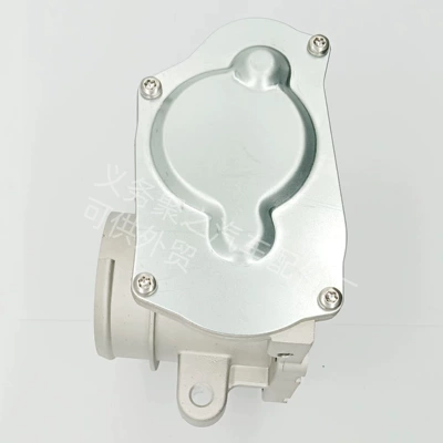 Throttle Control Unit, Drossel