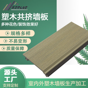 Co-Extruded Wood-Plastic Wall Panels Wpc Embossed Wall Panels Anti-Corrosion, Moisture-Proof and Moth-Proof Outdoor Wall Outdoor Wall Panels Manufacturer