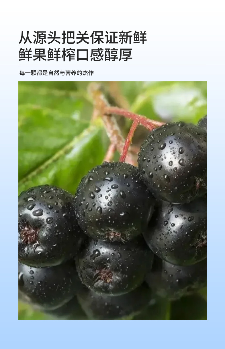 Black Chokeberry Aronia Juice Concentrate 500ml NFC Original Berry Puree overview