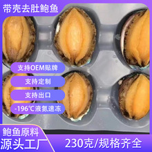 带壳去肚鲍鱼 新鲜活冻鲍鱼 去内脏餐饮酒店酒席商用批发福建鲍鱼