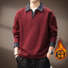 �߶˼كɼ�ײɫƴ�Ӽӽqţ��Polo�����＾��ʽ�͹Ō��ɷ��I�l����