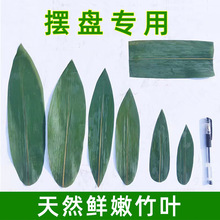 С���~�[�P���~���b���֧�~�Pβ���˾��ʽ�����������r��Ͳ�̲�