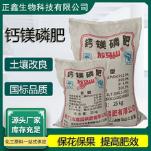 �}�V�׷���������Ϲ��߲��r����׷�ʻ��ʸ����������� �}�V�׷�