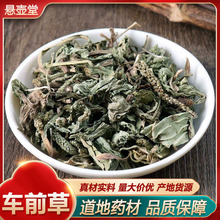 ܇ǰ�ݱ�����ꐽg���{���������~�q������ʯ�ϰ�ƽ��ľ��ݮʯҊ��