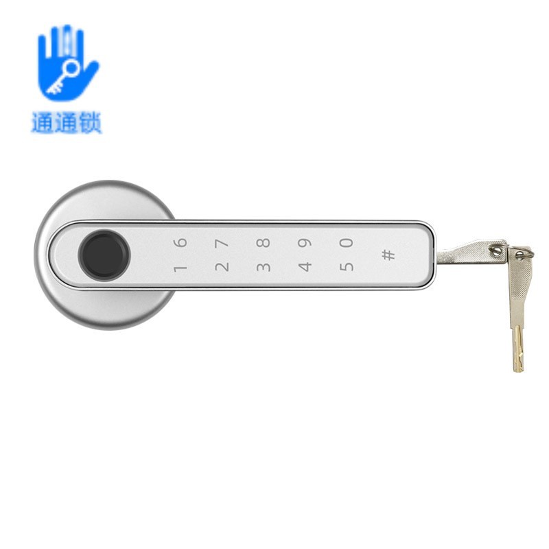 Tarjeta TT196-Silver-fingerprint-password-IC-Aplicación Móvil tongtong