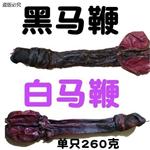 白马鞭干特大马鞭带蛋睾丸白马茎男性泡酒料滋补另有牛鞭鹿鞭驴鞭