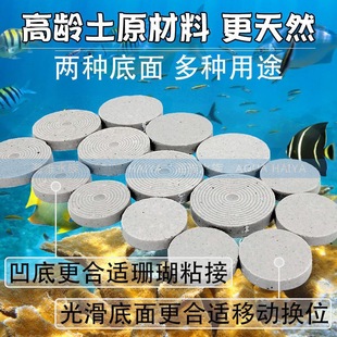 ����m��ˮɺ����ֳ��ʯ�~��Ӳ�ǔ�֦֫�A���մɻ�������͹�c����