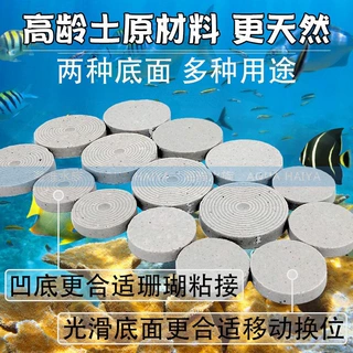 龙祥宫海水珊瑚繁殖基石纽扣硬骨断枝肢圆形陶瓷基座用有凸点底座