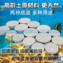 圆形海水陶瓷珊瑚基座