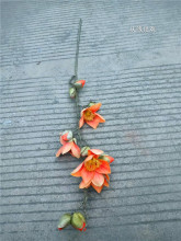 ����ľ�޻�֦��֦���ٻ�Ӣ�ۻ��t����ɫ�tɫ����Ӱҕ�����Ĕz�[��