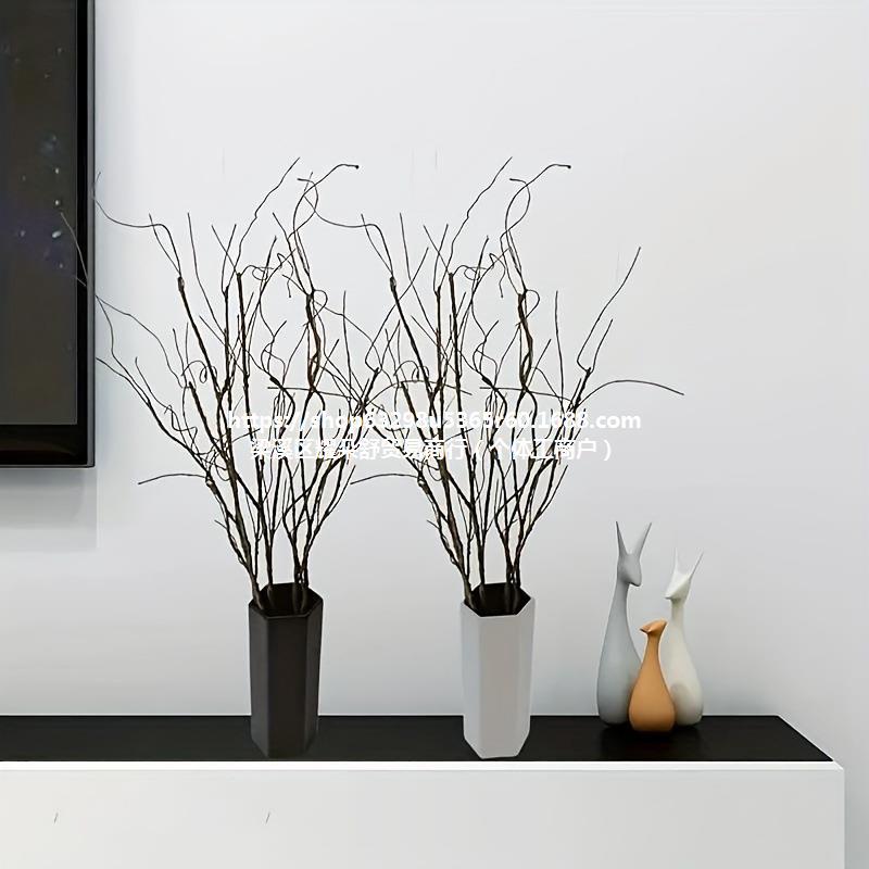 Cross-border simulation withered vines and rattan decorative leaves…