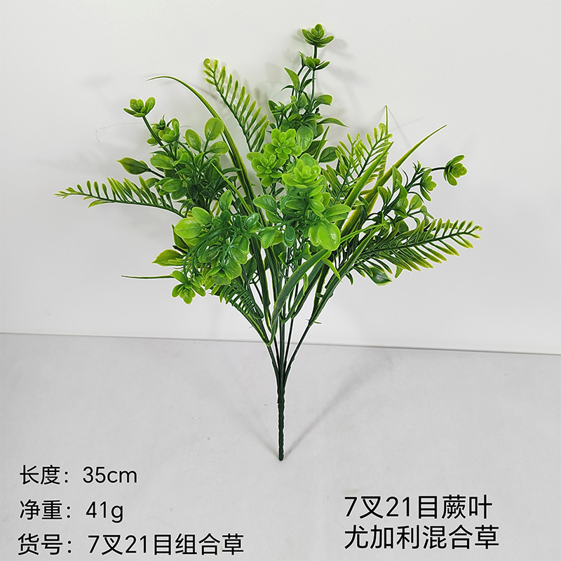 Fertigo eucalyptus mixtura de 721