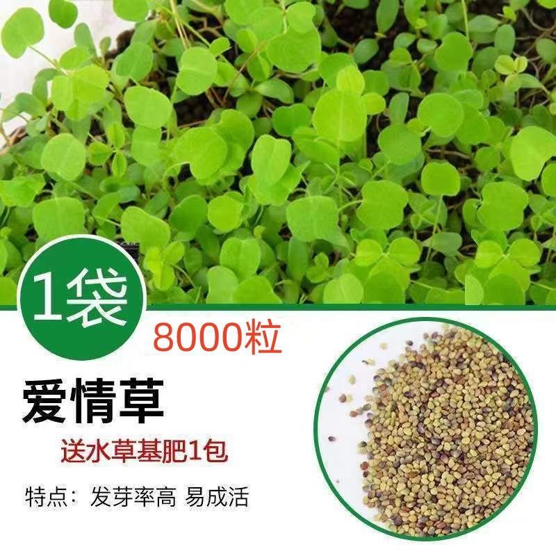 [핫세일] 워터그래스머드 2.5kg - 사랑풀 8000캡슐 + 그릇연꽃 5캡슐 + 비료