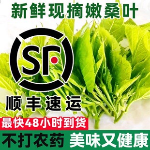 ��S���]�Q����������rɣ�~�B�Qι�Q�Fժ�r��ɣ���~�Q�~С�Qʳ��