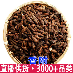 �㸽�� �����㸽�� �㸽�нӴ�؛ ����ă�����