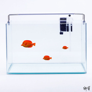 ˮĸˮ����י�ˮ��ˮĸ�׸�����R�~���h��B�׶������W����