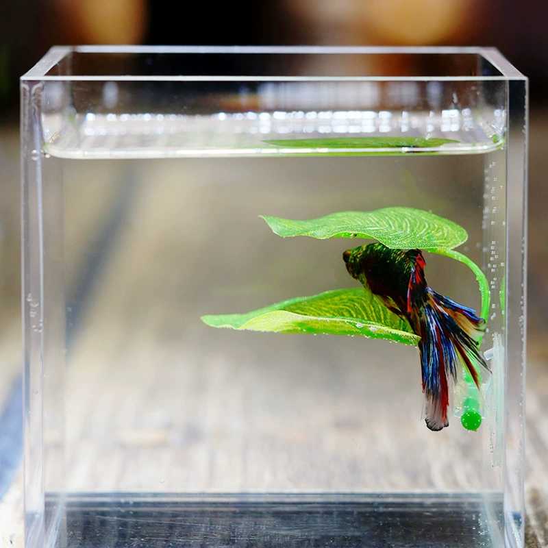 Decorative Aquarium Leaf (Siyuan) — Artificial Betta Rest Leaf, 6.5 cm, OPP Pack Options