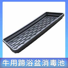 ţ����ԡ��ţ���O��ţ����ţ�R�H�Bֳ��е�ฯ�㲡ֺ�gƤ��