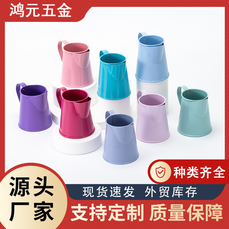 Creative wrought iron flowerpot balcony home fleshy plant flower color coffee pot decorative ornaments spot wholesale