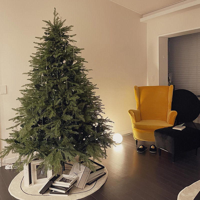 Christmas Tree 2025 New Home Ins Style Encrypted Naked Tree DIY Christmas Decorations Living Room Large Ornaments