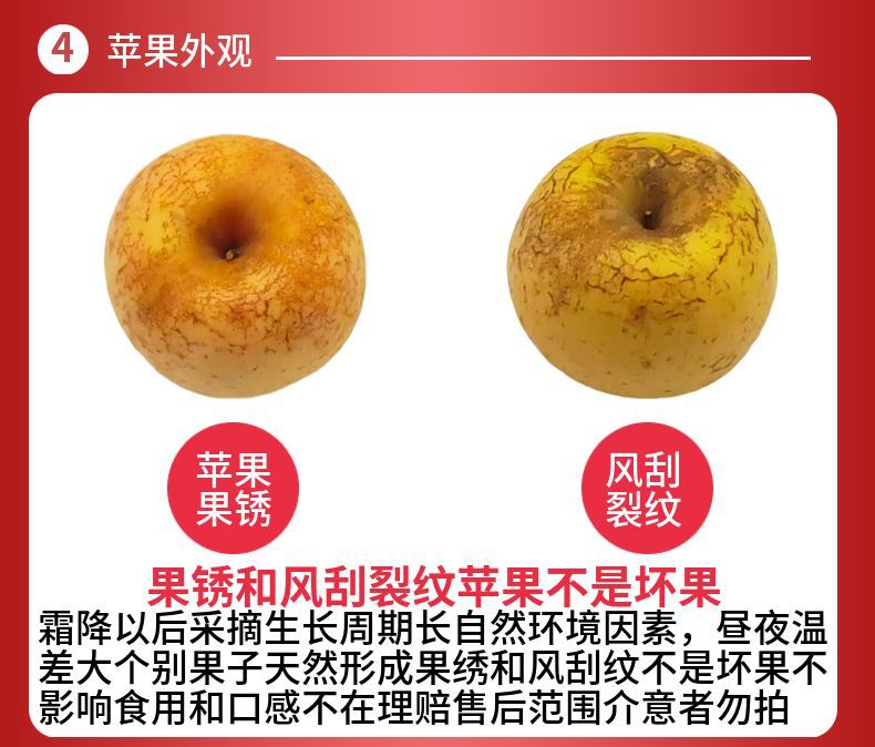 5c9c3b5e-fe46-4ead-826b-51f6ef