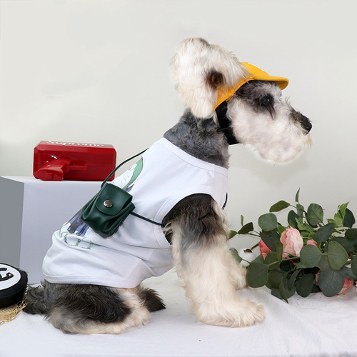 Cats, Dogs, Small Dogs, Pets, Backpacks, Dog Schoolbags, Accessories, Pet Accessories