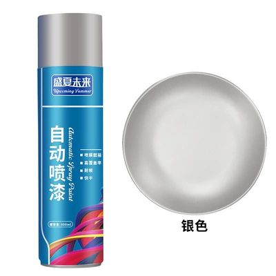 hand spray paint, coatings, car – Avtomobil boyası - silver-1-bottle-800ml