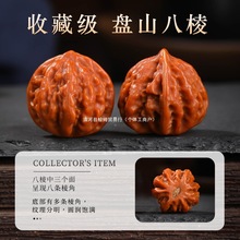 ����ͬ������������С��������Ů������ָ���Һ�������ʿ������