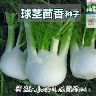 ���o����N�ӽY��С��������������С�~����N���ļ������rʳ�߲�