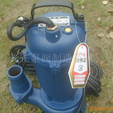 供应光正电动微型排污泵铸铁潜水泵立式小型电泵无堵塞潜水排污泵