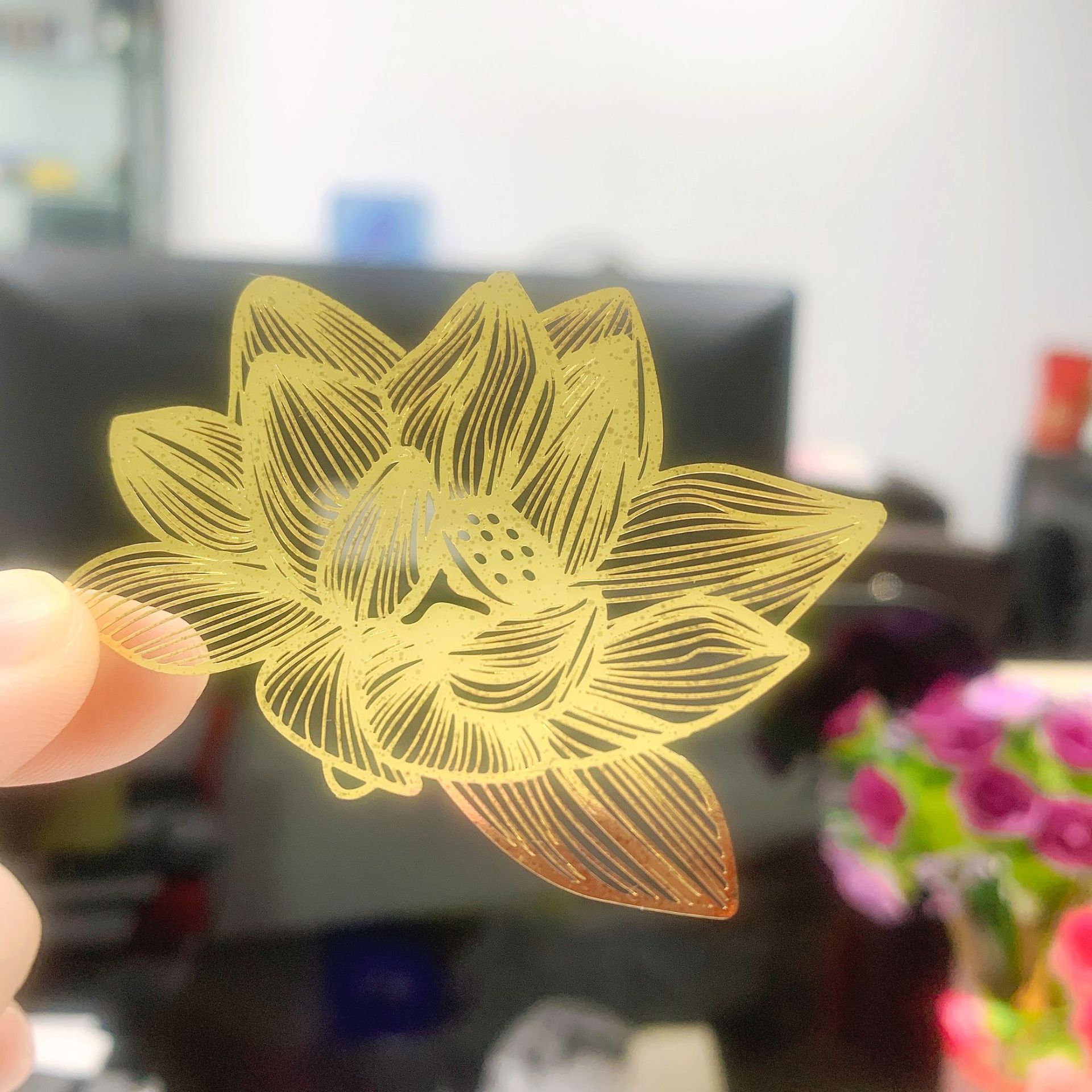 IMG_6005(20210301-161149)