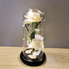 Eternal Flower Glass Golden Foil with LED Lights Rose Valentine's Day Christmas Gift Cross -border e -commerce goods