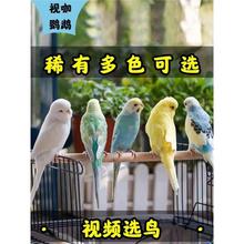 ��Ƥ�W�^���B���fԒ���W�^���B���^����С�B���B���w����ĵ�����P