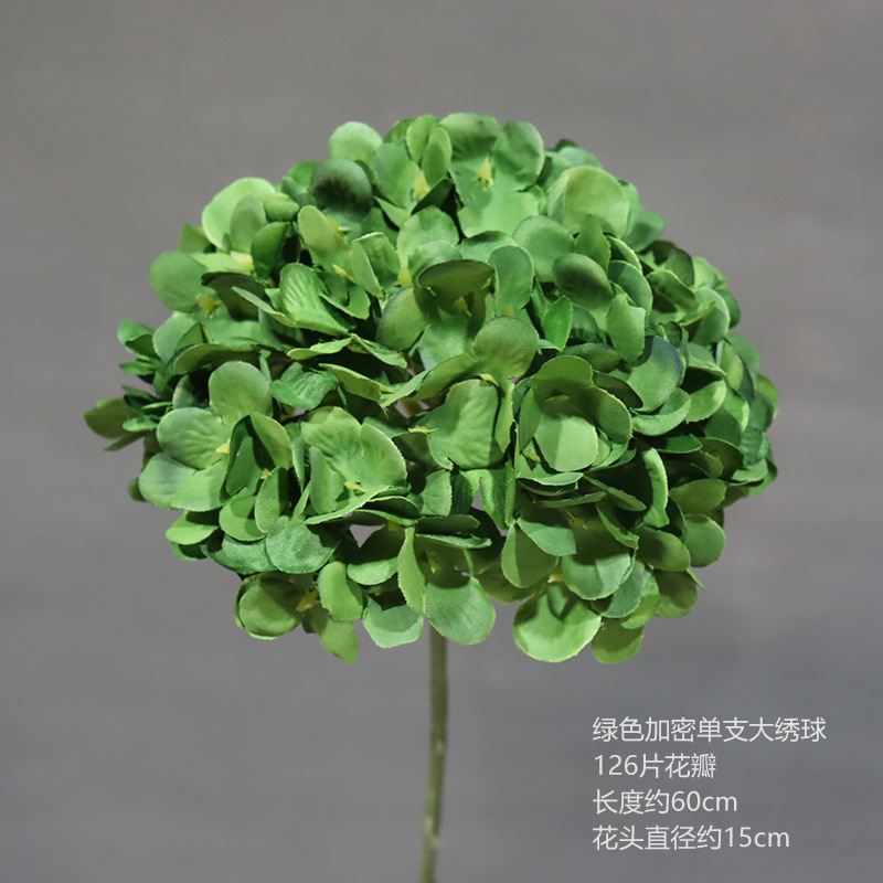 Cifrado verde sola Hortensia grande