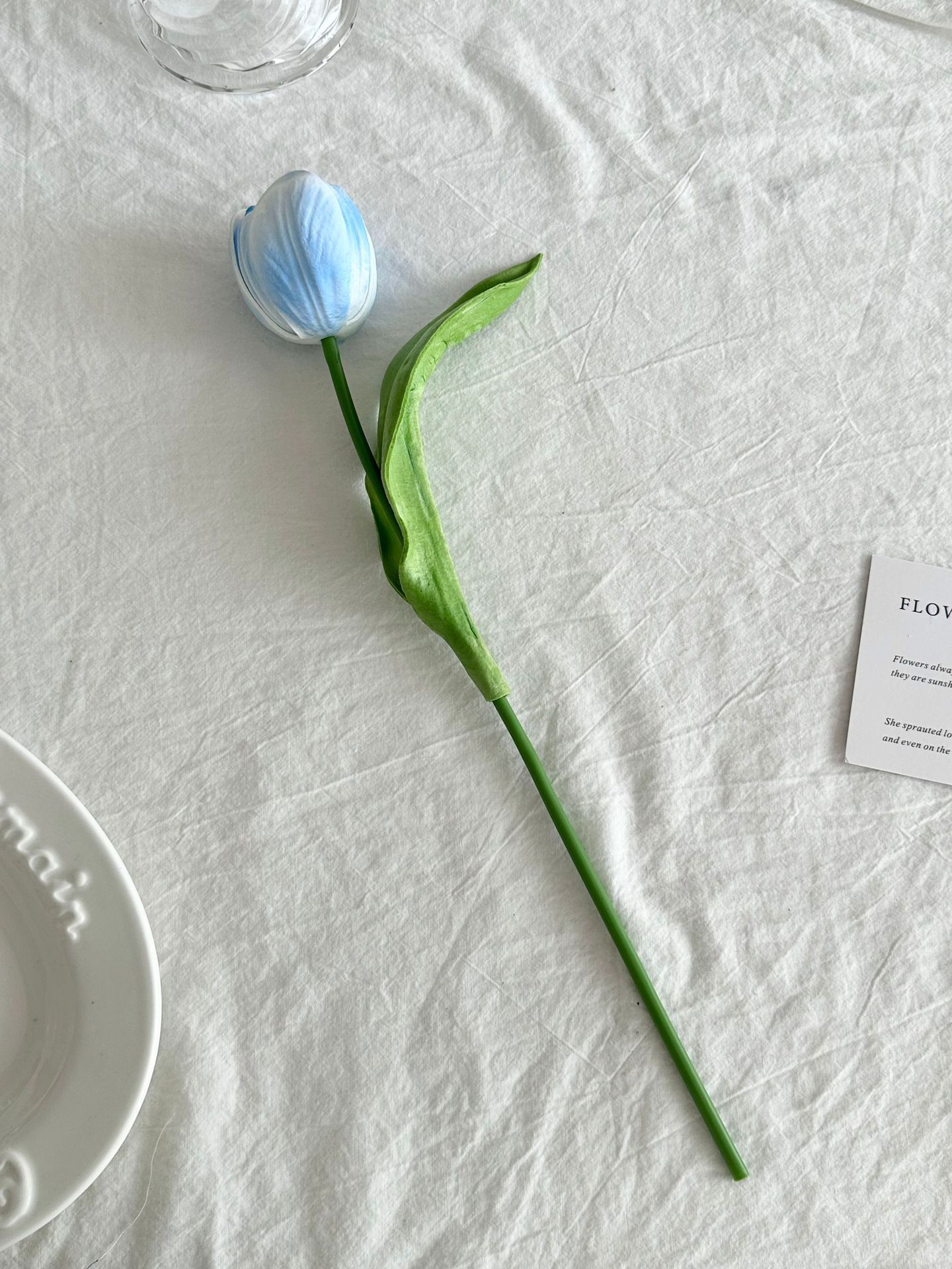 파란색 단일 튤립