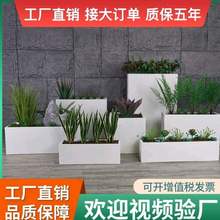 ������ⲣ����L���λ���M��ͥԺ���仨���̨���s��Nֲ��