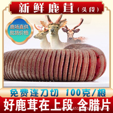 鲜鹿茸东北吉林特产鹿茸厂家批发头茬二杠连刀切带血头段片高品质