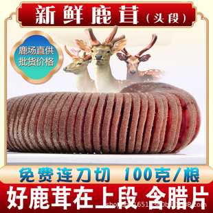 �r¹�ז|�������خa¹�׏S�����l�^������B���Ў�Ѫ�^��Ƭ��Ʒ�|