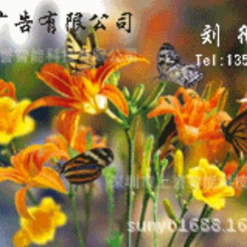 名片有多少种变换效果pet卡片印刷，游戏卡,3D透卡印刷厂生产