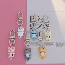 �羳��֬��ͨ�ɐ�ƽ������؈��С؈�Lβ؈������ diy�Ʒ耳׿�