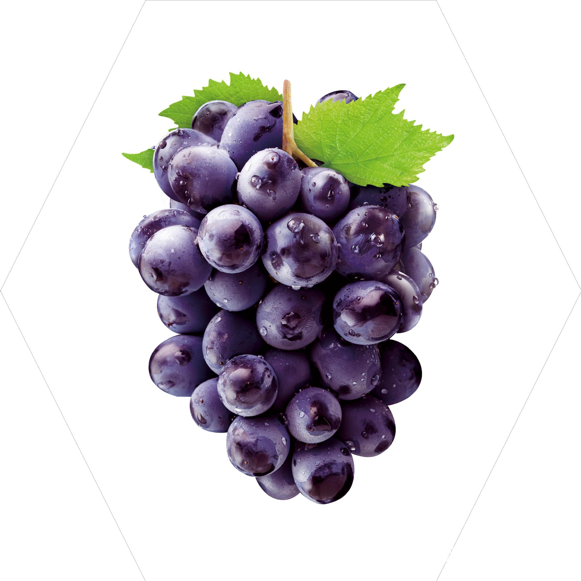 Vegetales y frutas patrón supermercado luces especiales frescas tienda de frutas decoración luces de forma especial tienda por departamentos luces súper industriales