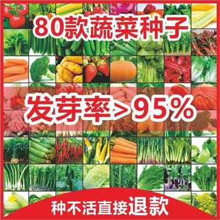 �߲˷N���ļ����N�r��ͥԺ���˲�������������ݮ�S���������