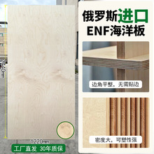 桦木海洋板桦木板多层木饰面板护墙板木饰面墙板背景墙面板家具板